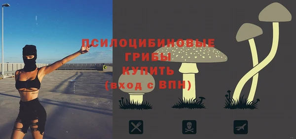 не бодяженный Тайга