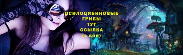 альфа пвп Вяземский